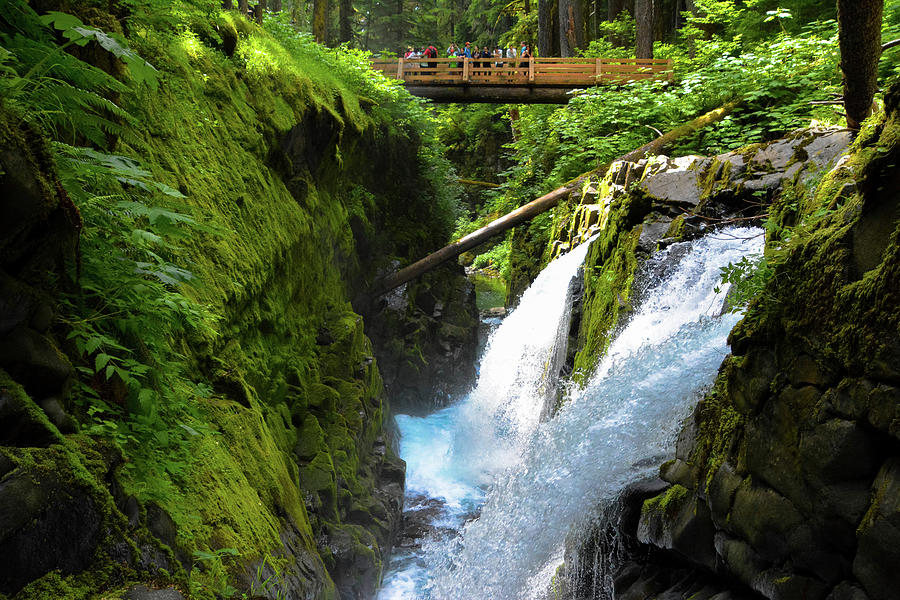 Sol Duc Falls West 2 Photograph by Brian Goodbar | Fine Art America