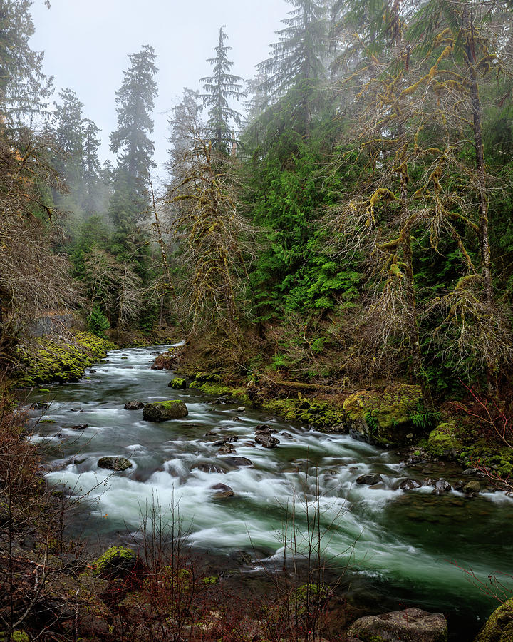 Sol Duc River 101 Photograph by Mike Penney - Fine Art America