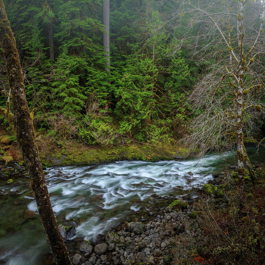 Sol Duc River 103 Photograph by Mike Penney - Fine Art America