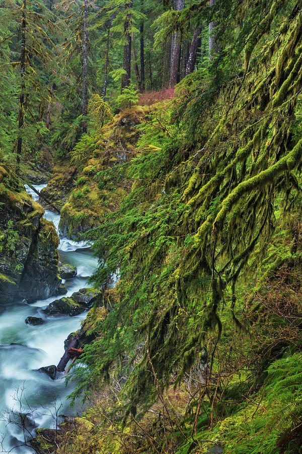 Sol Duc River In Olympic National Park Photograph By Chuck Haney Fine