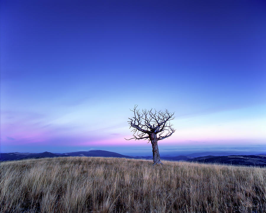 Minimalism, Solace and Grace Photograph by Leland D Howard Minimalism, Solace and Grace Photograph by Leland D Howard