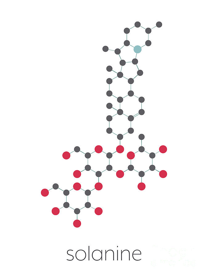 Solanine Nightshade Poison Molecule by Science Photo Library