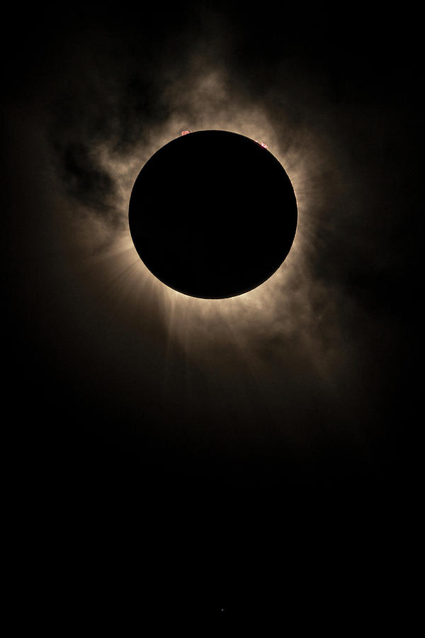 Solar Eclipse Photograph - Solar Eclipse of 2017 by Randy Lemoine