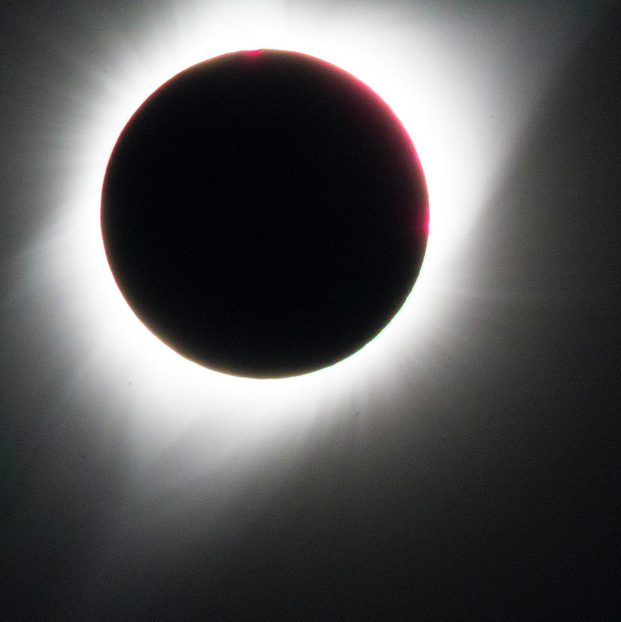 Solar Eclipse with Corona Photograph by Patrick Nowotny