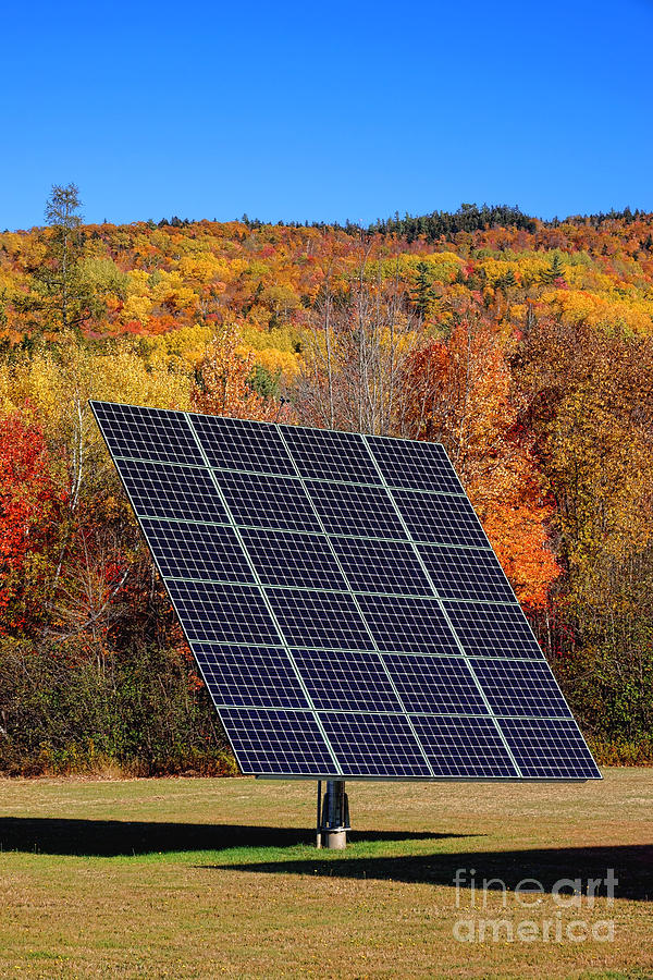Solar Panel in the Fall Photograph by Olivier Le Queinec