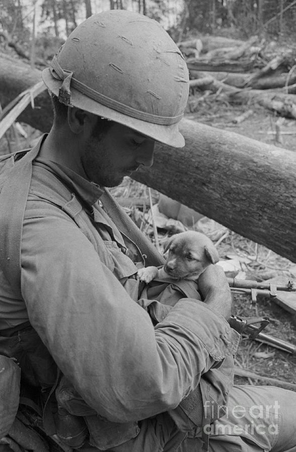 Soldier Cuddling A Puppy Photograph by Bettmann