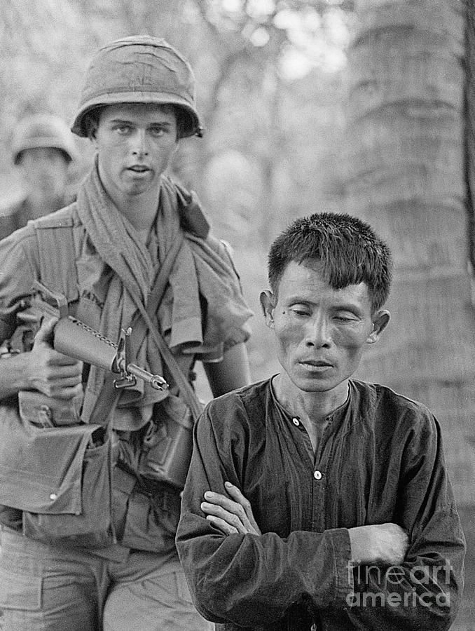 Soldier Leads Viet Cong Away Photograph by Bettmann