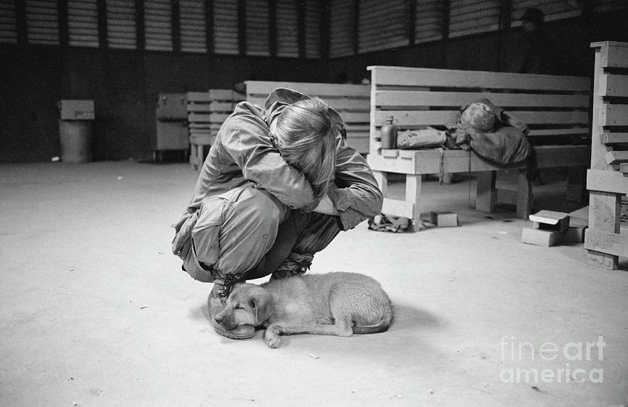 Soldier Leaning Over Puppy Photograph by Bettmann