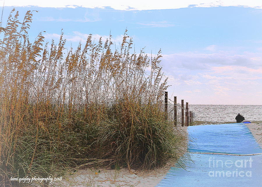 Nature Photograph - Soliloquy On A Southern Shore by Tami Quigley