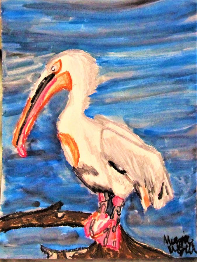 About Us - Pelican Canvas