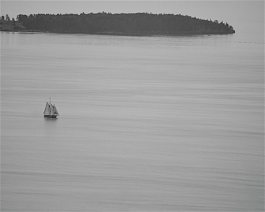 Solitary Sail Photograph by Corinne Rhode
