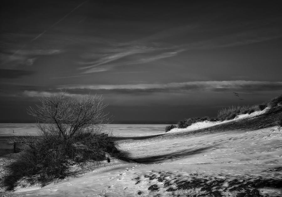 Solitary Snowy Winter Beach Photograph by Yvette Depaepe