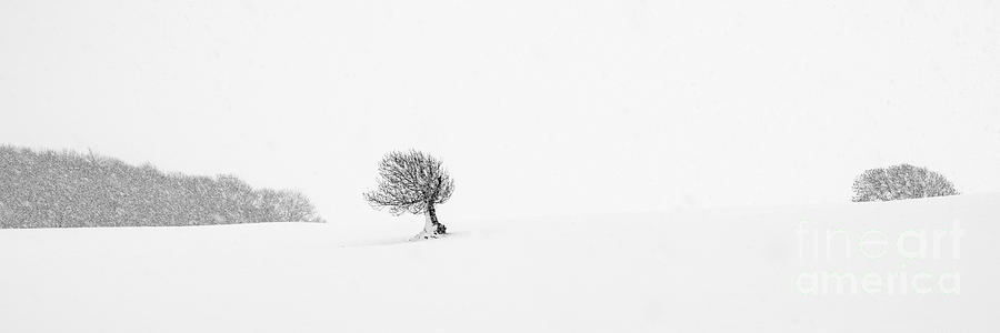 Solitude #2 Photograph by Richard Burdon