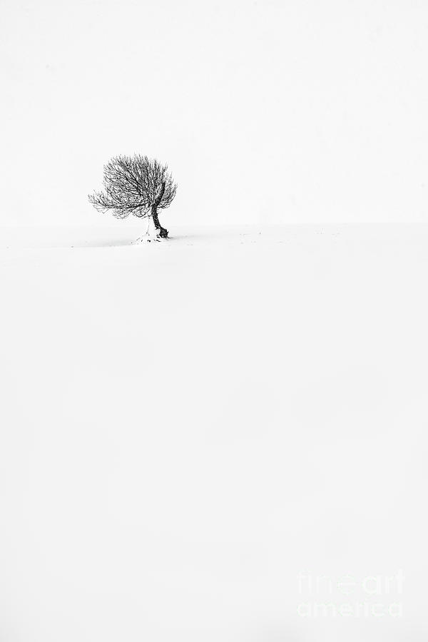 Solitude #4 Photograph by Richard Burdon