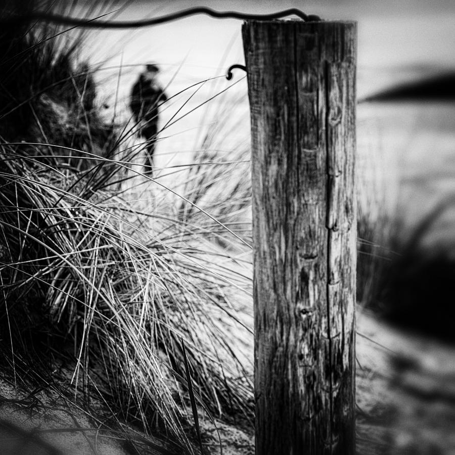 Solitude Photograph by Ina Tnzer