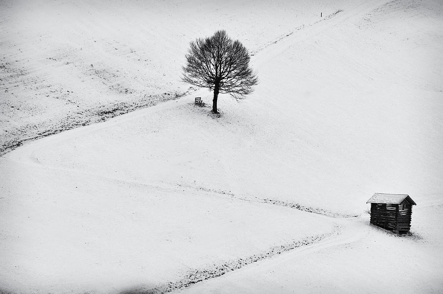Solitude Photograph by Marchevca Bogdan
