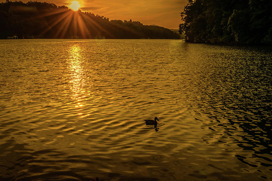 Solitude on Lake Lure by Gary Bond Solitude on Lake Lure by Gary Bond