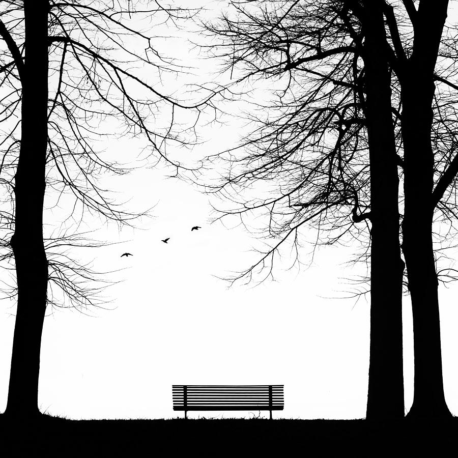 Black And White Photograph - Solitudini 4 by Massimo Della Latta
