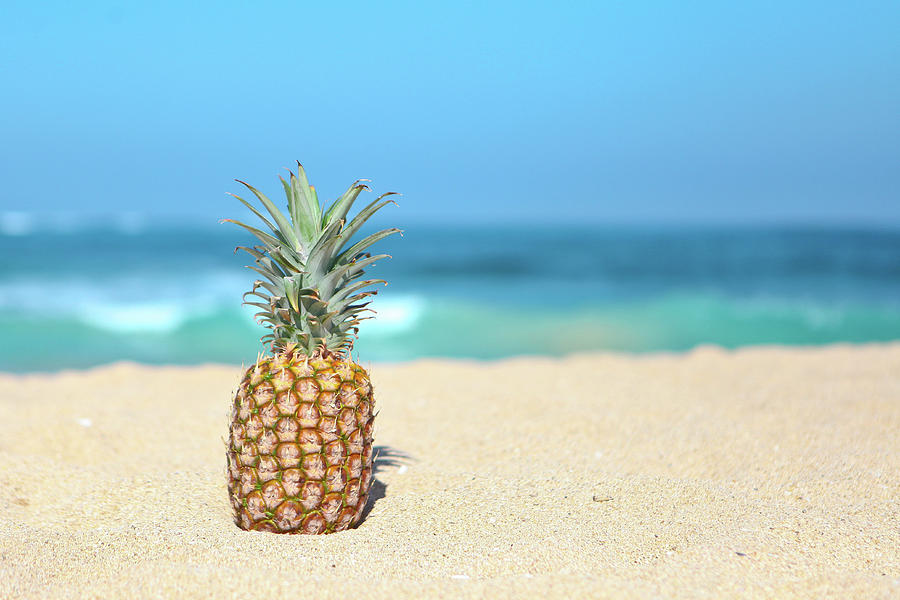 Solo Pineapple  Photograph by Angelina Hills