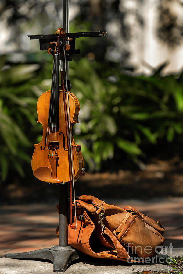 Music Photograph - Solo Violin In The Park by Alan Pelletier