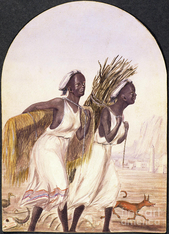 Somali Women At Aden, 1858 Painting by Maitland Warren Bouverie Pasley
