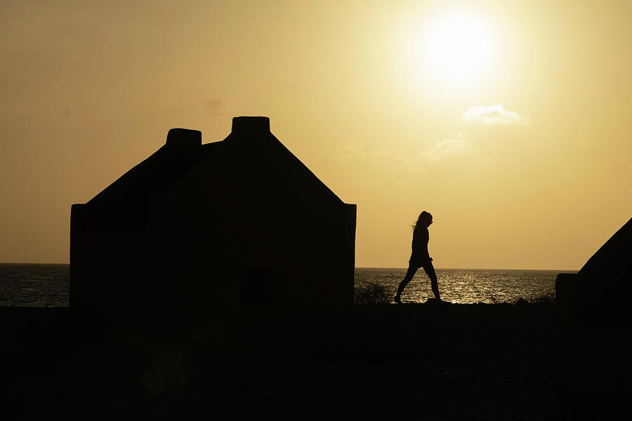Somber Silhouette by Thomas Gaitley Somber Silhouette by Thomas Gaitley