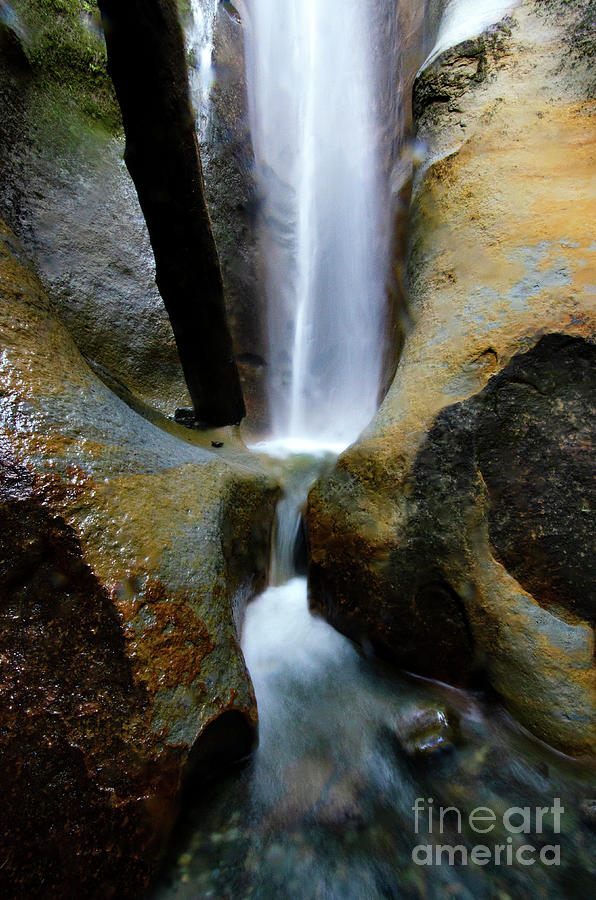 Sombrio Falls Vancouver Island Photograph by Bob Christopher