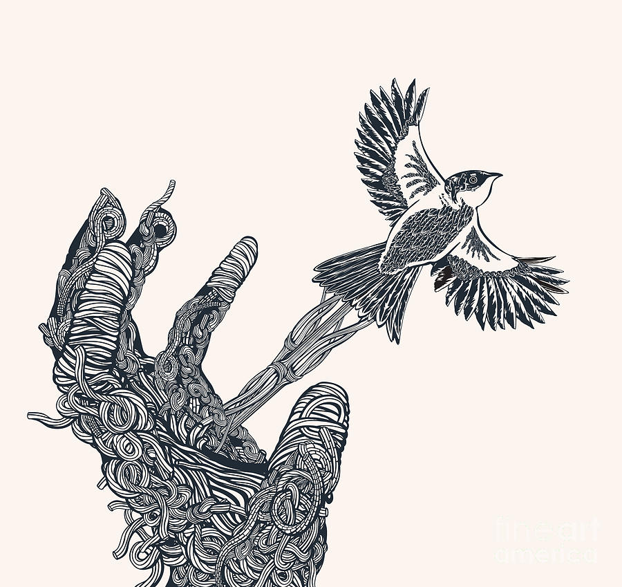 电影安迪的一句话Some birds arent meant to be cagedTheir