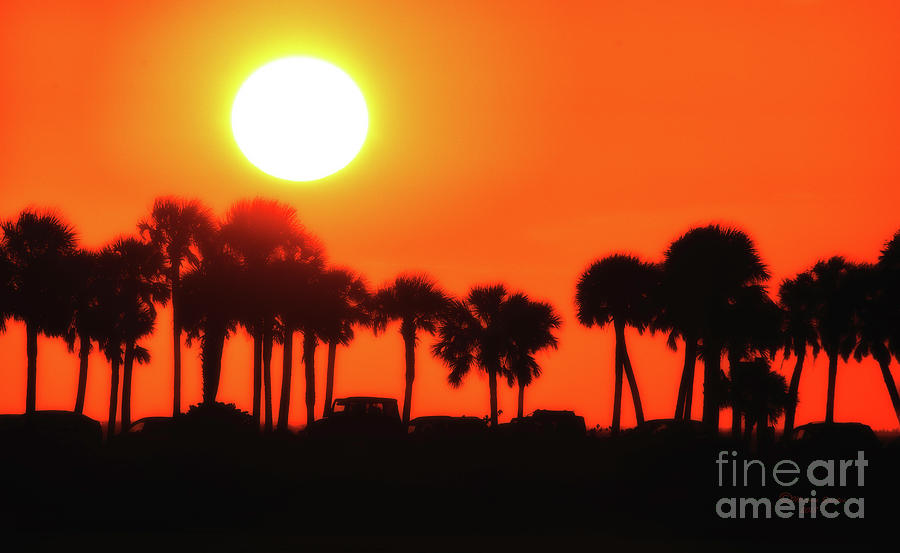 Sunset Photograph - Some Like It Hot by Marvin Spates