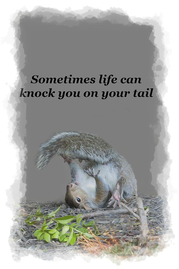 Sometime life can knock you on your tail Photograph by Daniel Friend