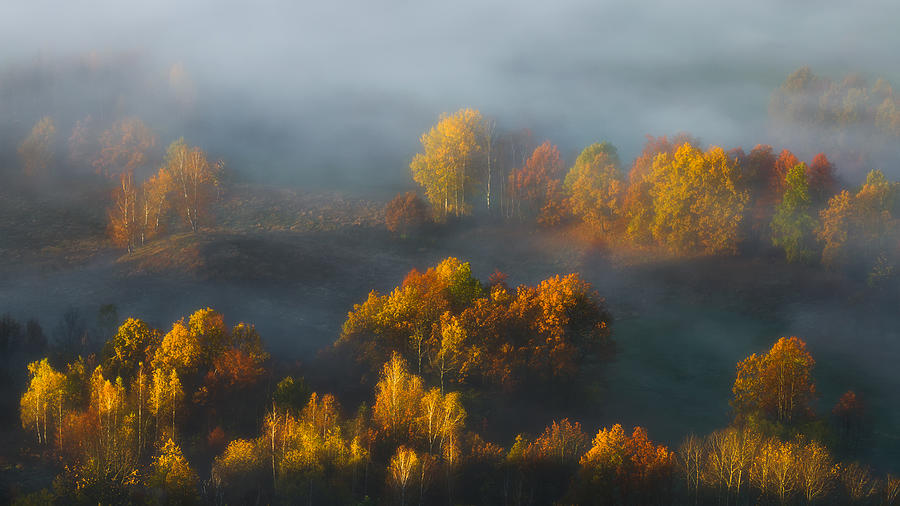 Song For Autumn Photograph by Izabela Laszewska-mitrega/darek Mitr?ga