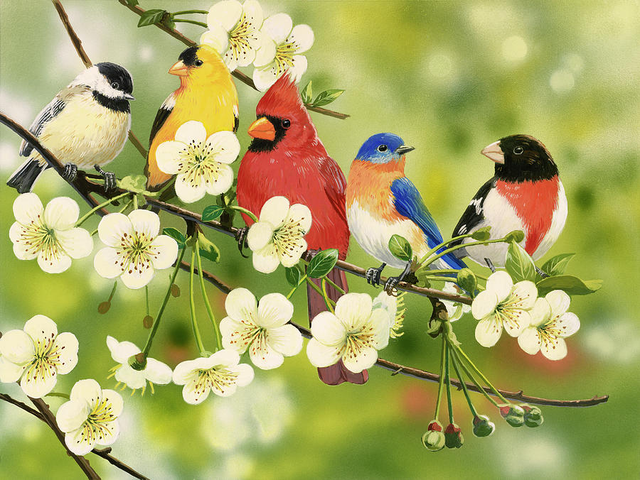Bird Painting - Songbirds On A Flowering Branch by William Vanderdasson