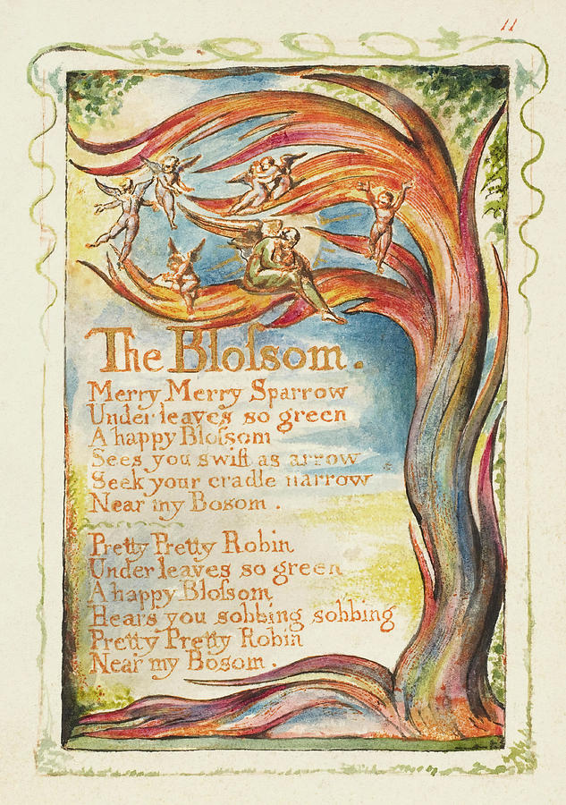 Songs of Innocence and of Experience The Blossom Merry Merry Sparrow. Painting by William Blake
