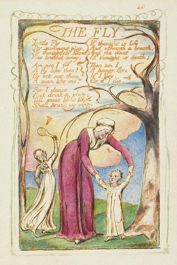 Songs of Innocence and of Experience The Fly. Painting by William Blake