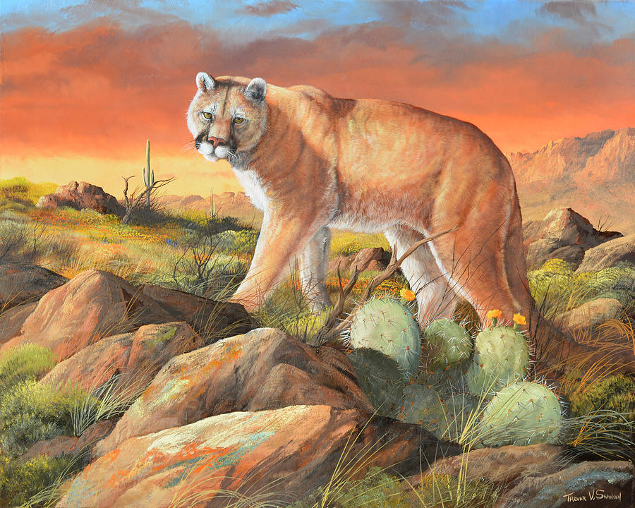 Puma Painting - Sonoran King by Trevor V. Swanson