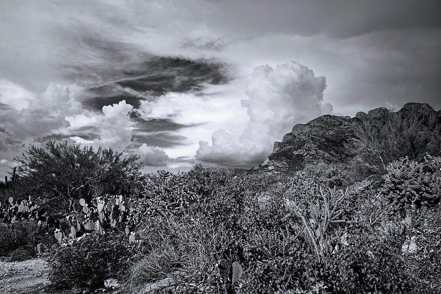 Sonoran Monsoon Season m1603 Photograph by Mark Myhaver