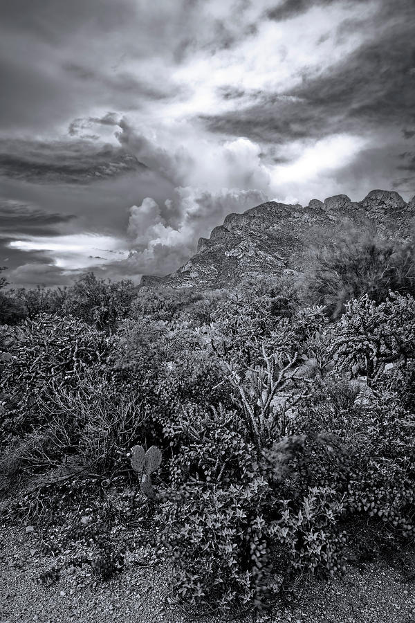 Sonoran Monsoon Season m1649 Photograph by Mark Myhaver