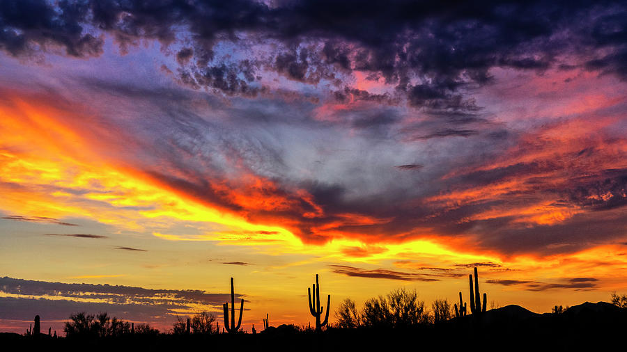 Sonoran Skies Afire  Photograph by Saija Lehtonen