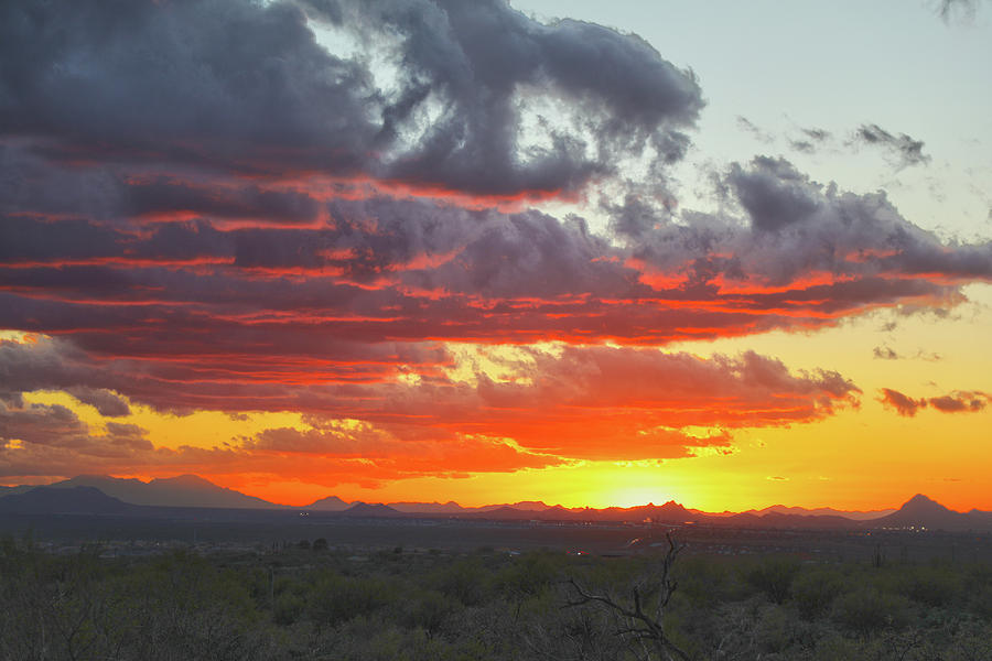 Sonoran Sunset Photograph by Mitch Cat