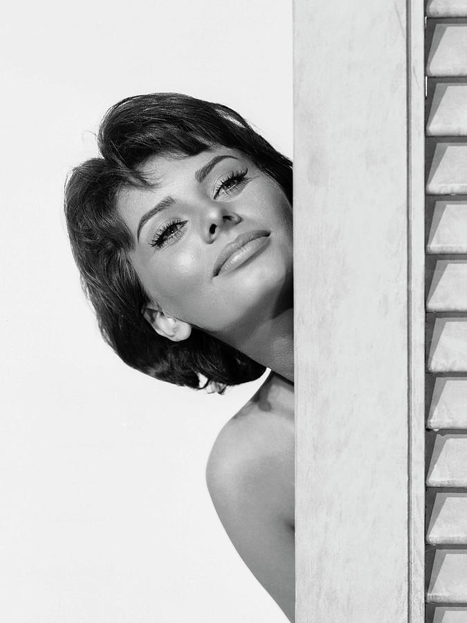 Sophia Loren Door Poster NEW 