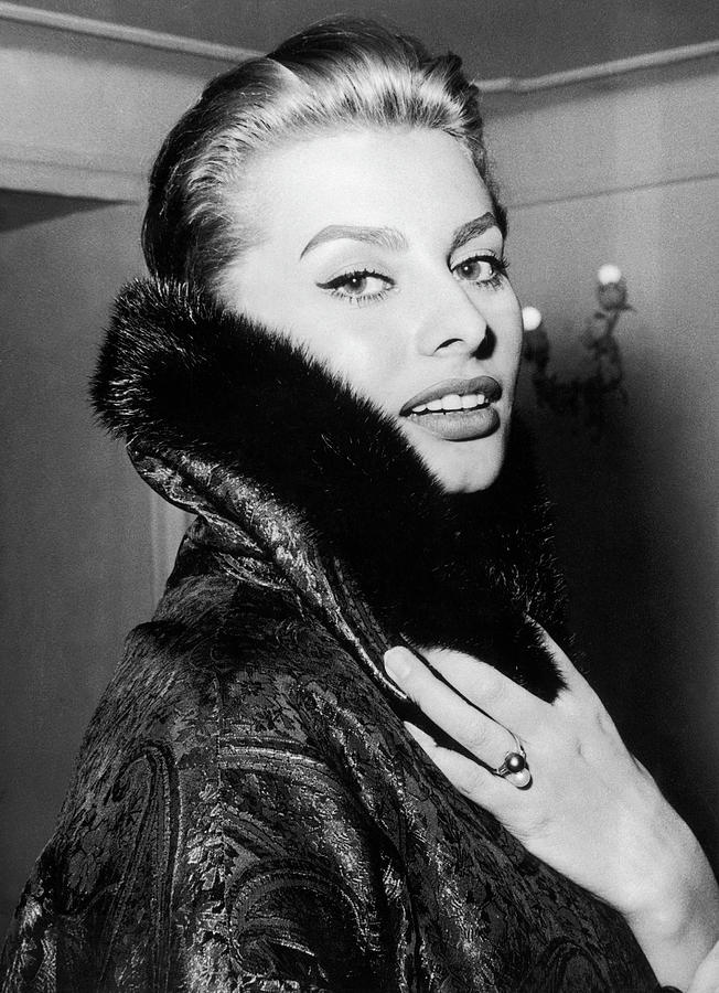 Sophia Loren, Blonde On A Coat Of Photograph by Keystone-france