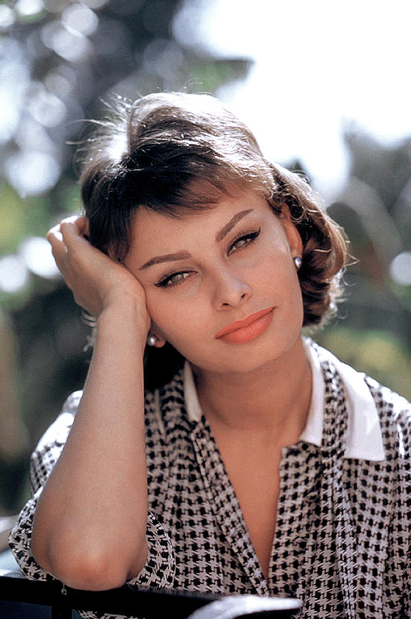Sophia Loren Portrait Photograph by Donaldson Collection