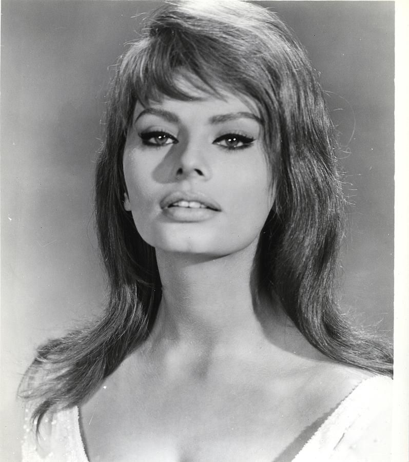 Sophia Loren The Millionairess Photograph by Movie Star News