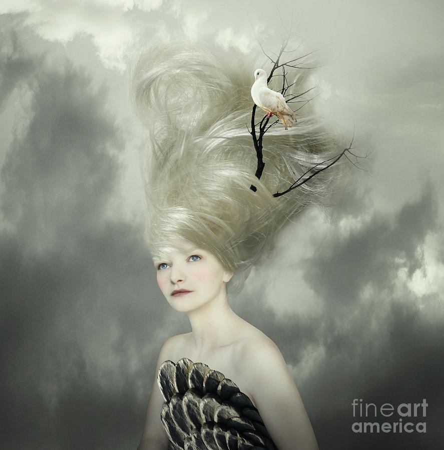 Fancy Photograph - Sophisticated And Artistic Portrait by Valentina Photos Fancy Photograph - Sophisticated And Artistic Portrait by Valentina Photos