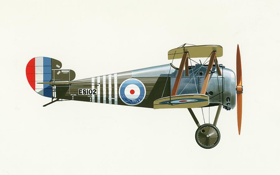 Sopwith 7f 1 Snipe Painting by English School