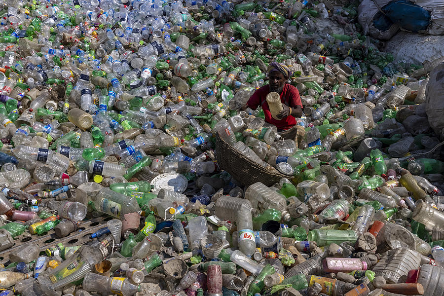 Sorting Plastic Bottle And Plastic Goods Recycling Photograph By Azim 