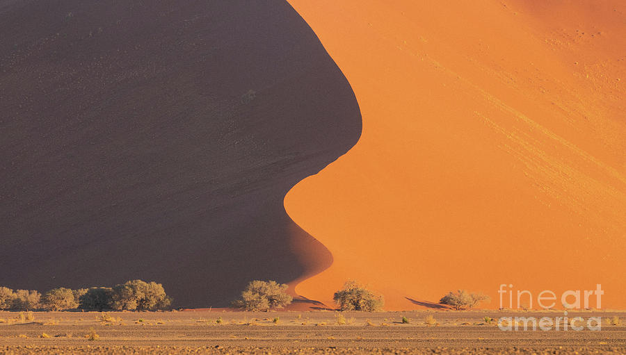 Sand Dune Photograph - Sossusvlei Dunes The Drop by Mike Reid
