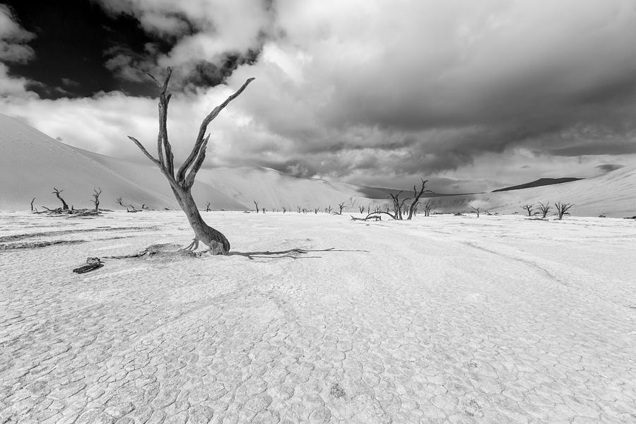 Black And White Photograph - Sossusvlei by Marco Tagliarino
