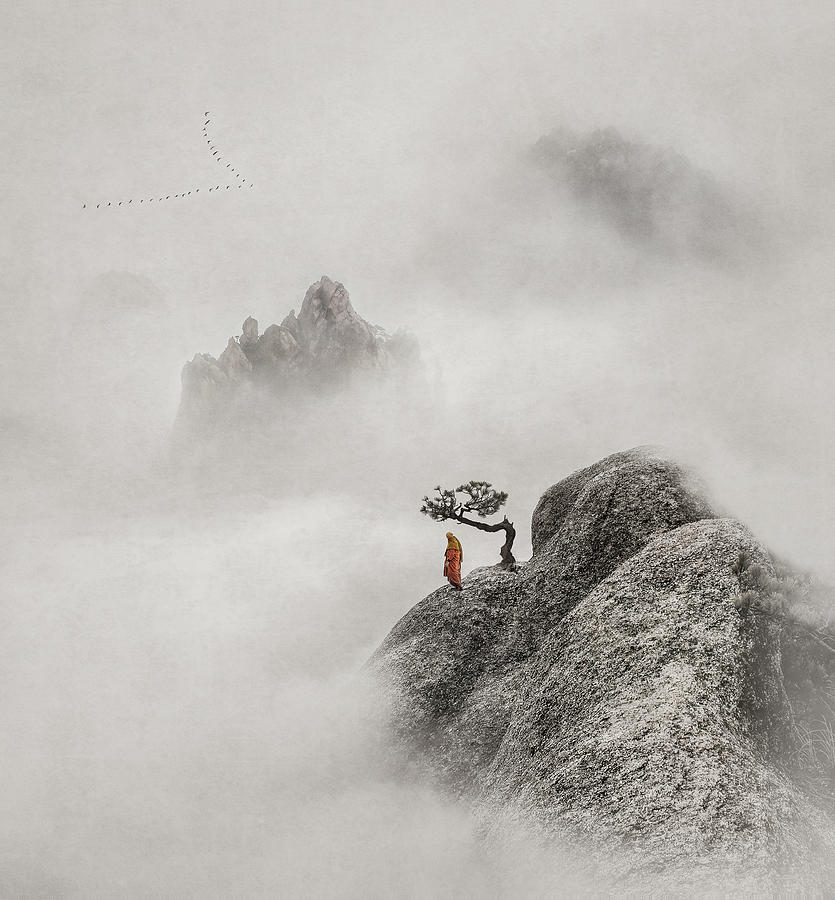 Bird Photograph - Soul Searching Journey Hs by Shenshen Dou