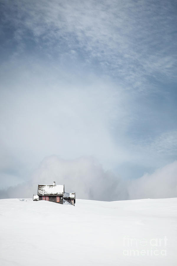 Winter Photograph - Souls At Zero by Evelina Kremsdorf